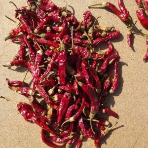 Piment africain séché : où acheter en France en 2026 ? Notre guide complet